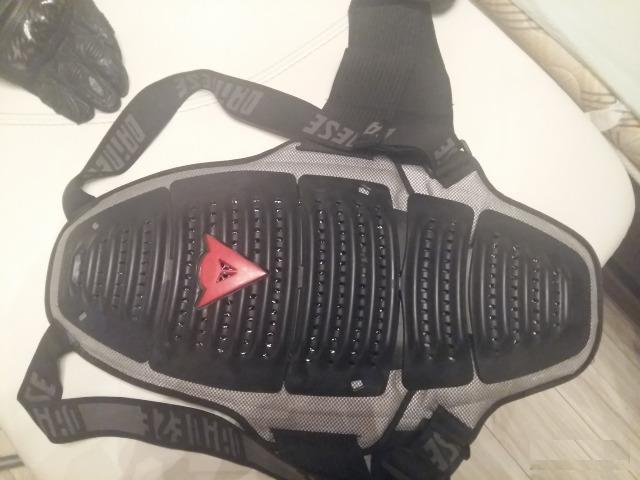 Защита спины dainese