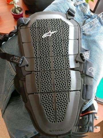 Защита спины Alpinestars