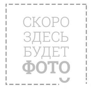 Ветровое стекло Honda CBR600RR 05-06 зеркальное