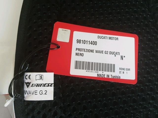 Черепаха ducati