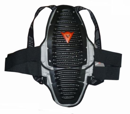 Защита спины dainese
