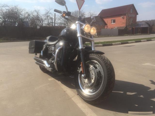 Harley davidson Fat bob
