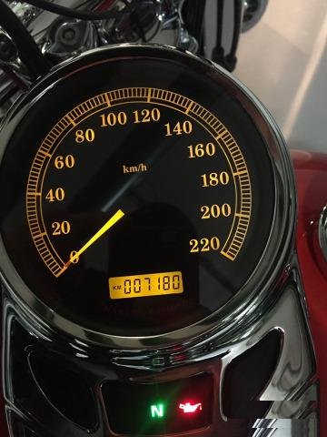 Harley-Davidson Heritage