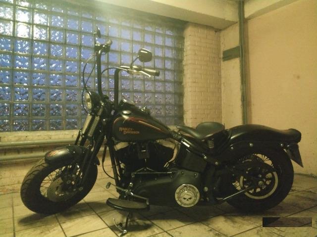 Harley Davidson flstsb Cross bones