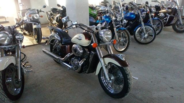 Honda shadow 750