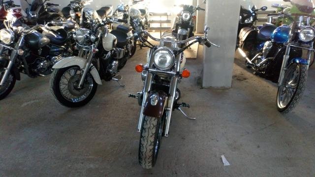 Honda shadow 750