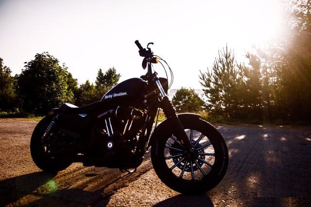 Harley Davidson sportster 883 n