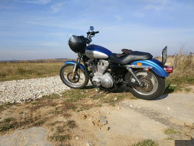 Harley Davidson Sportster 883 Custom