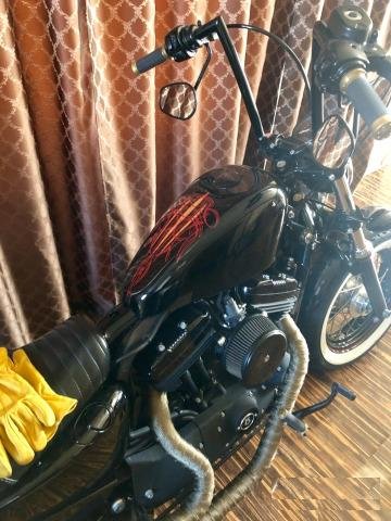 Harley Davidson Sportster 1200 Forty Eight 48