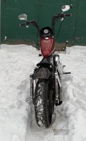 Harley davidson sportster 883