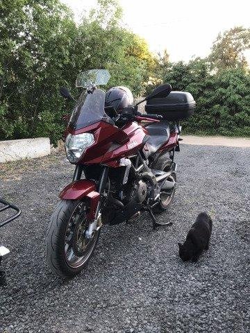 Aprilia shiver 750 gt 2010
