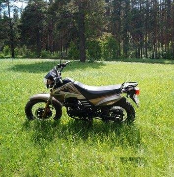 Racer forester