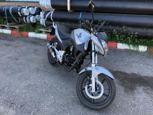 Stels Flex 250
