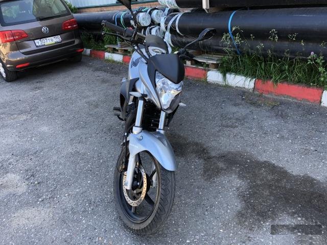 Stels Flex 250