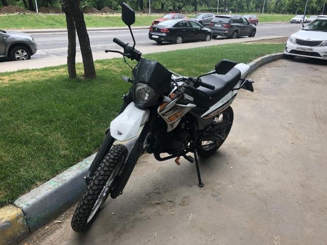 Racer Panter