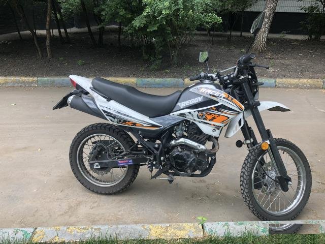 Racer Panter