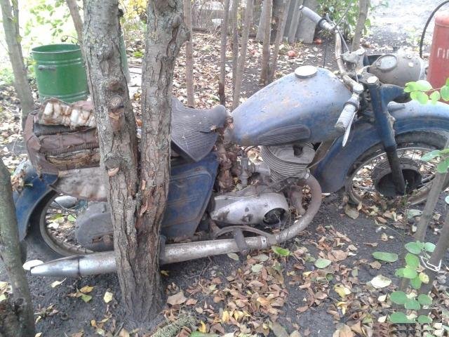 Иж 56