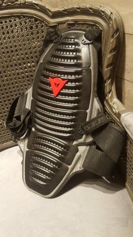 Защита спины Dainese оригинал, размер М