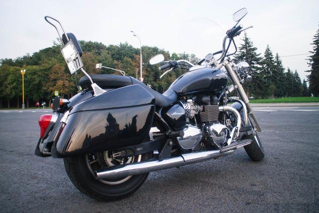 Triumph America 2014