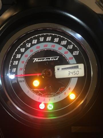 Продам triumph tinder bird storm