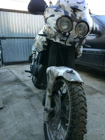 Triumph Tiger 955i