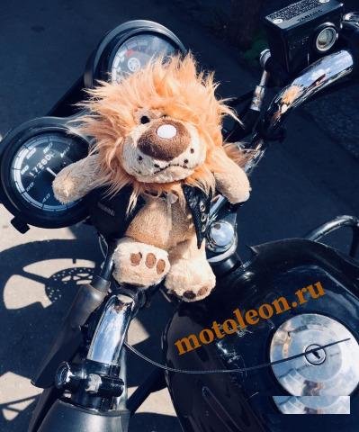 Мотошкола Motoleon