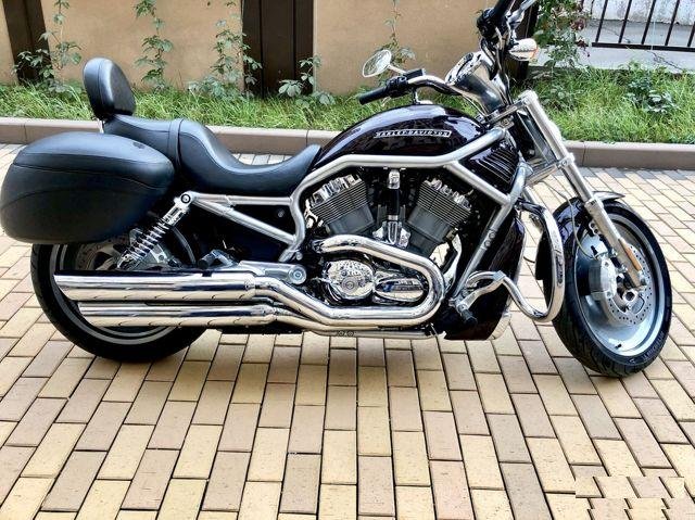 Harley-Davidson vrsca V-Rod