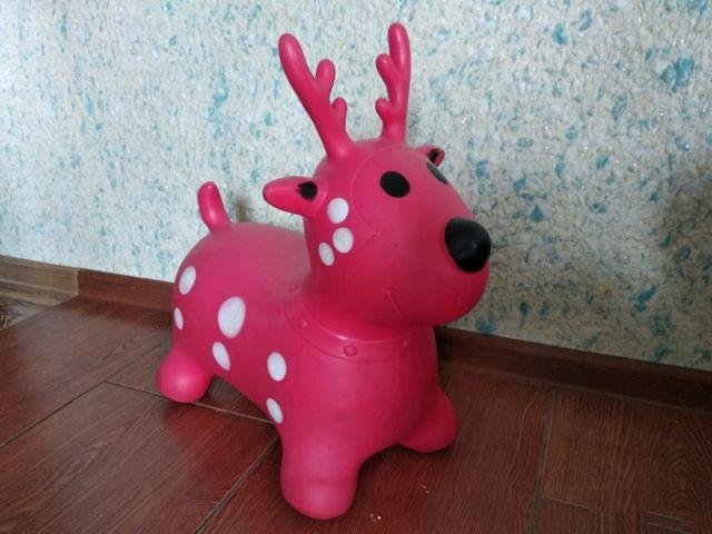 Круг для плавания, прыгун, мотоцикл