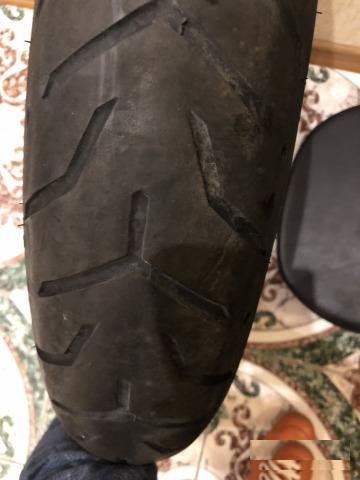 Мото шина dunlop harley-davidson